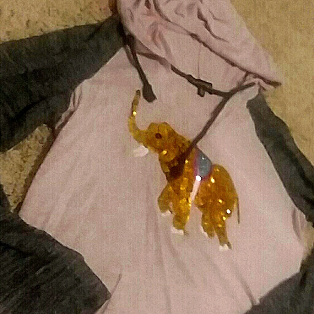 Inspired Hearts Gold Elephant Hooded T